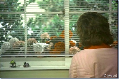 2.10 PLAYING POSSUM.avi_000338338