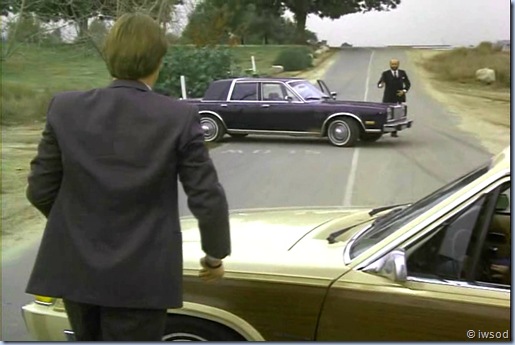 2.10 PLAYING POSSUM.avi_000756756