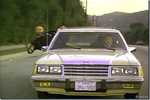 2.10 PLAYING POSSUM.avi_002455255