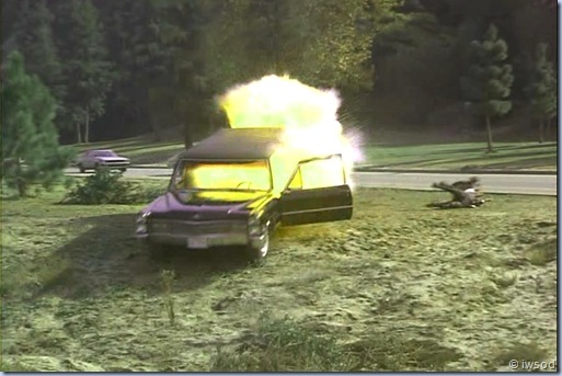 2.10 PLAYING POSSUM.avi_002469502