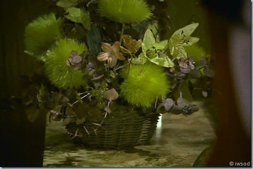 2.12 SHIP OF SPIES.avi_001451918