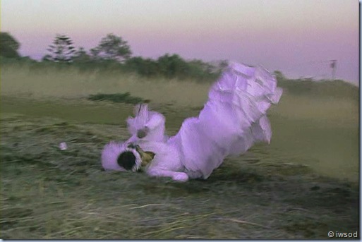 2.12 SHIP OF SPIES.avi_002613546