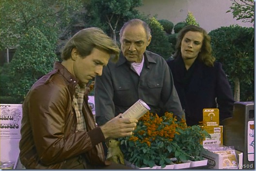 2.13 SPIDERWEB.avi_000504337