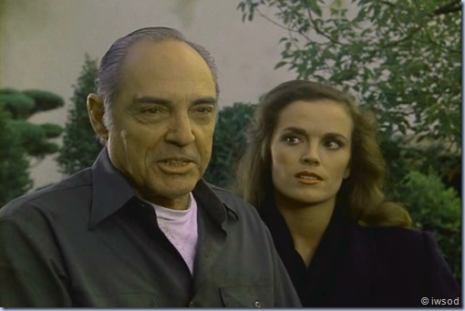 2.13 SPIDERWEB.avi_000521354