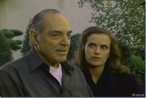 2.13 SPIDERWEB.avi_000540373