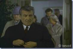 2.13 SPIDERWEB.avi_001419853