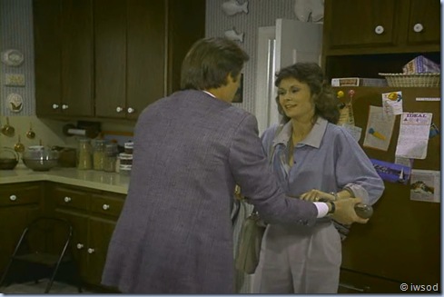 2.13 SPIDERWEB.avi_001864330