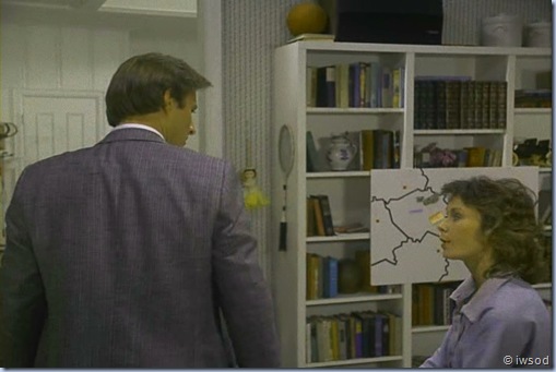 2.13 SPIDERWEB.avi_001996429