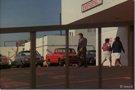 2.17 ODDS ON A DEAD PIGEON.avi_001869536