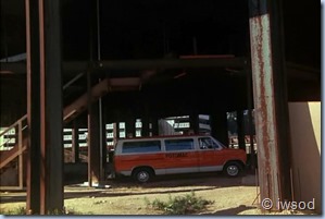 2.17 ODDS ON A DEAD PIGEON.avi_002151217