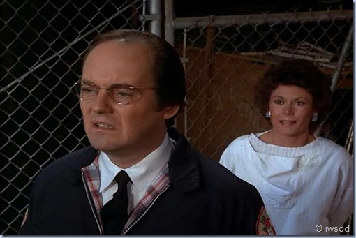 2.17 ODDS ON A DEAD PIGEON.avi_002183249