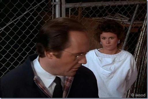 2.17 ODDS ON A DEAD PIGEON.avi_002260326