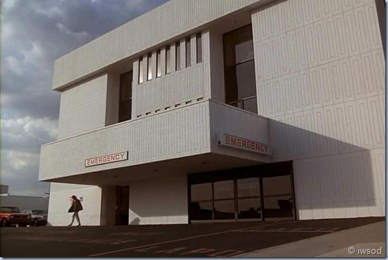 2.17 ODDS ON A DEAD PIGEON.avi_002266833