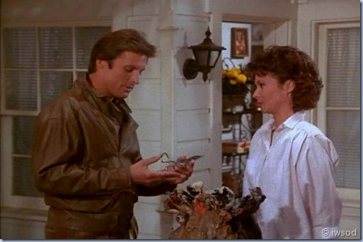 2.23 VIGILANTE MOTHERS.avi_002747280