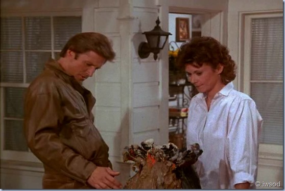 2.23 VIGILANTE MOTHERS.avi_002754287