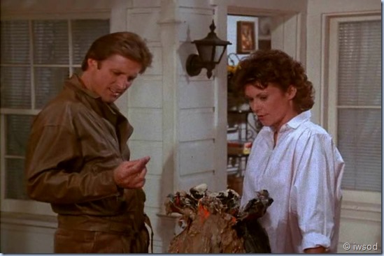 2.23 VIGILANTE MOTHERS.avi_002755588