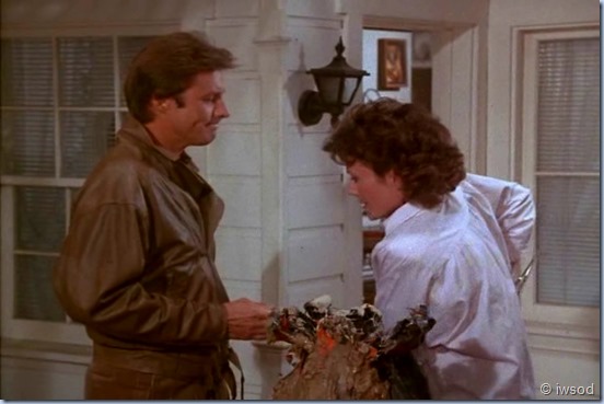 2.23 VIGILANTE MOTHERS.avi_002773306