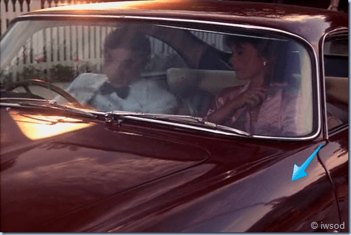 Aviary Photo_130363951245697426