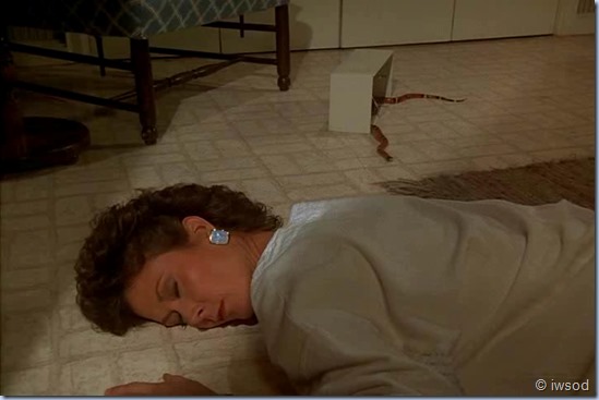 2.17 ODDS ON A DEAD PIGEON.avi_001553486