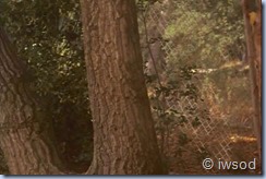 3.07 UTOPIA NOW.avi_002443543