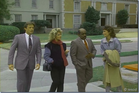 2.13 SPIDERWEB.avi_002147447