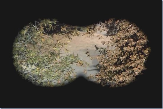 FFFT1.avi_20150516_223207.329