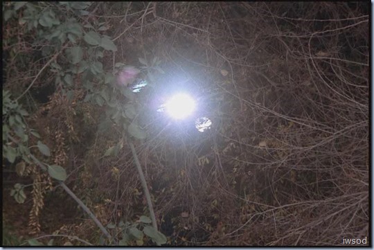 PFK.avi_20150823_142609.741