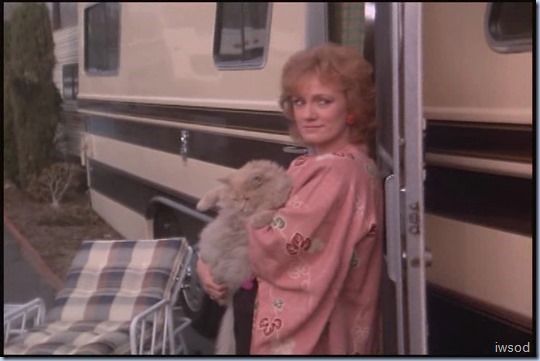 3.16 TT.avi_000994728