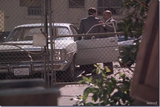 Stem-II.avi_001346312_thumb_thumb