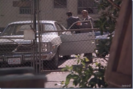 Stem-II.avi_001349516_thumb_thumb