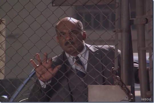 Stem-II.avi_001361027_thumb_thumb