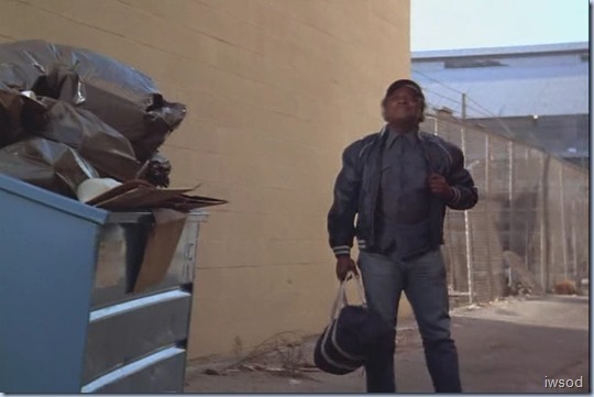 Stem-II.avi_001385051_thumb_thumb_thumb