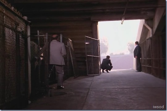 Stem-II.avi_002237170_thumb_thumb