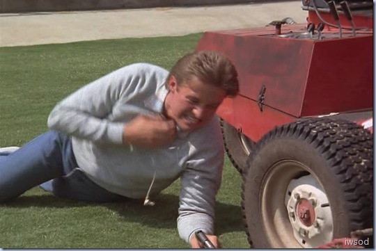 Stem-II.avi_002309542_thumb_thumb