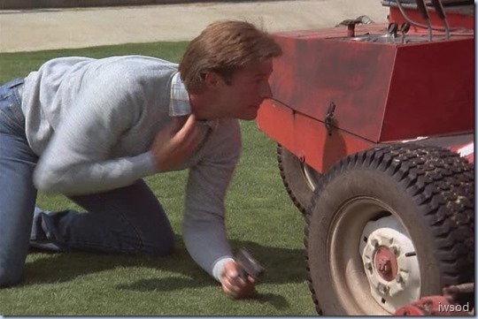 Stem-II.avi_002311544_thumb_thumb