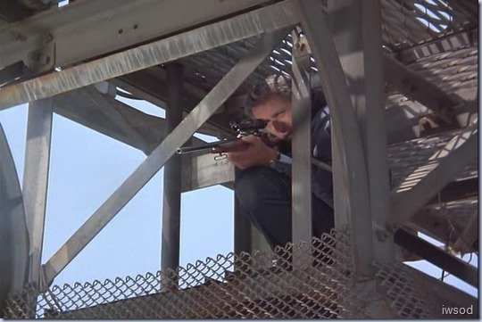 Stem-II.avi_002315548_thumb_thumb