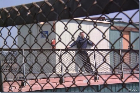 Stem-II.avi_002373506_thumb_thumb