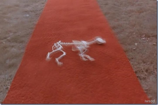 4.07BLW.avi_000171571