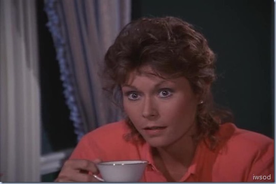 4.08 PH.avi_000798631