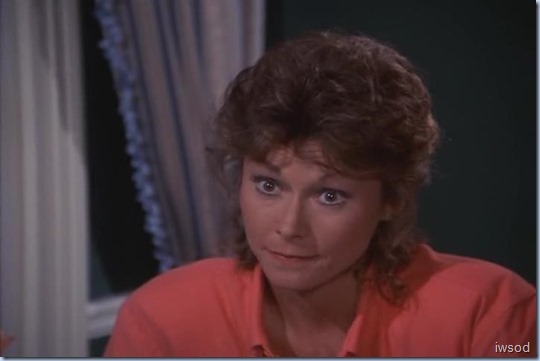 4.08 PH.avi_000820453