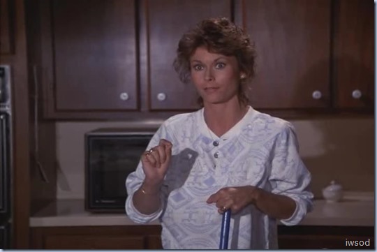 4.08 PH.avi_000867300