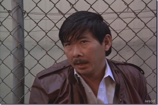 4.09 TMWDT.avi_001173039