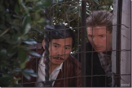 4.09 TMWDT.avi_002355855