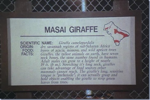 4.22 TKL.avi_002204204_thumb